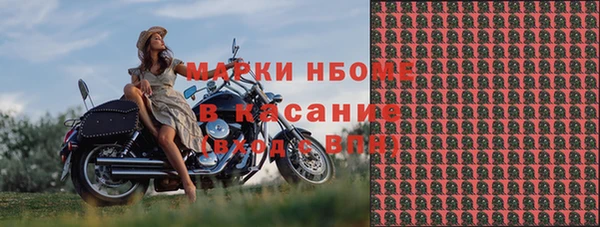 ГАЛЛЮЦИНОГЕННЫЕ ГРИБЫ Сатка