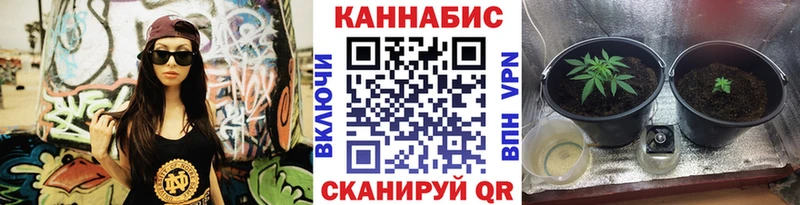 Конопля OG Kush Вилючинск